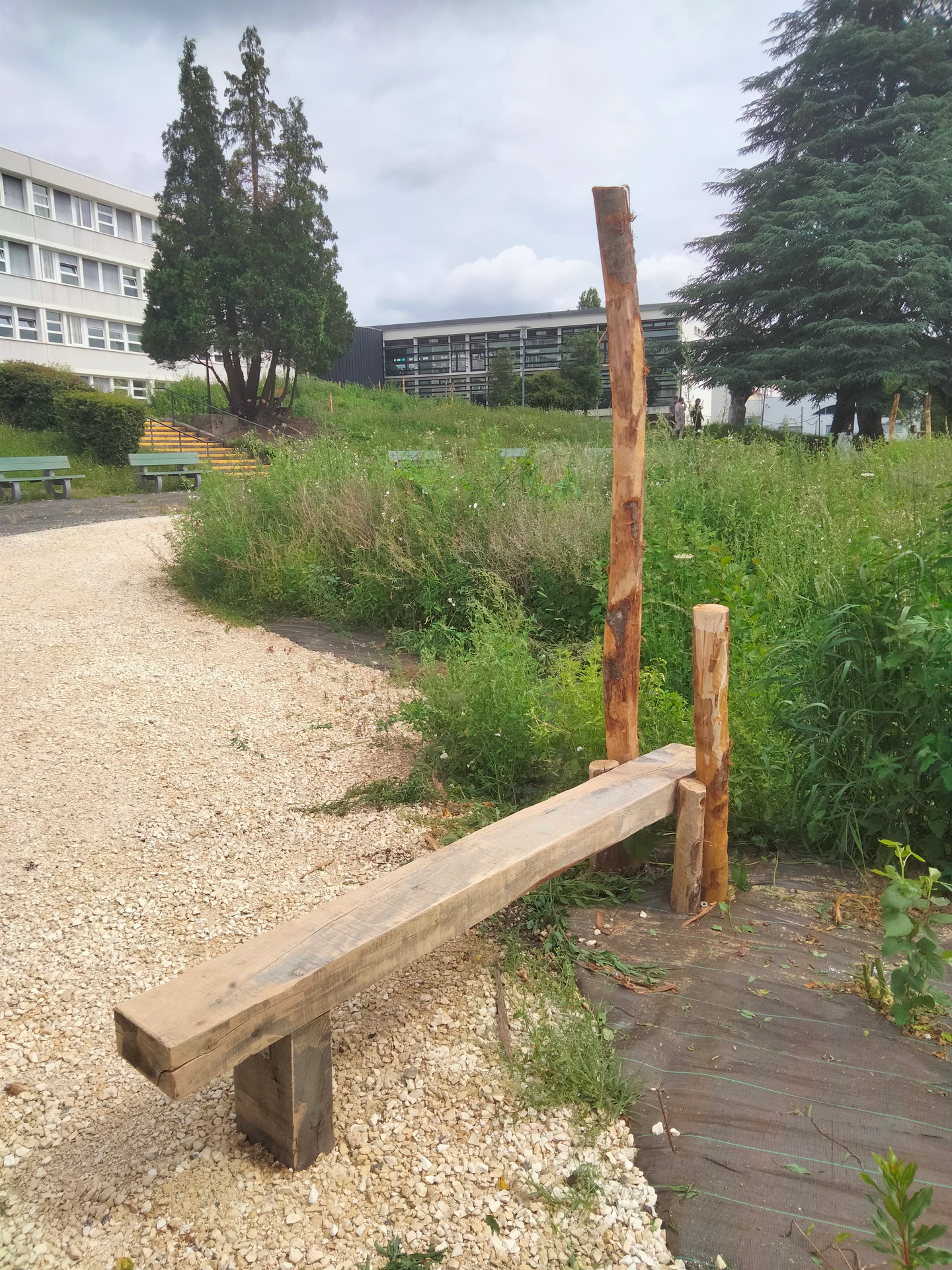 La biodiversité au cœur des lycées — photo 6