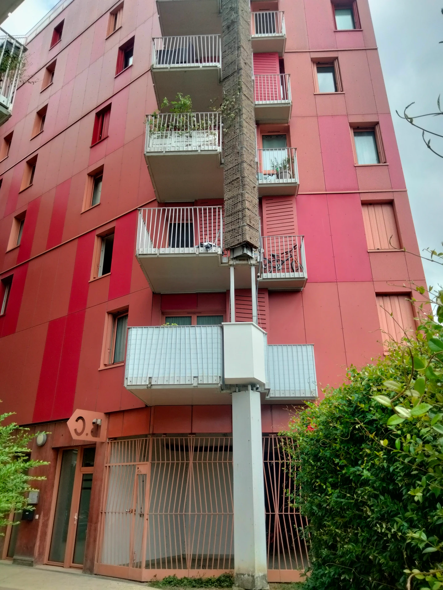 Faire revivre une nature verticale dans le XVe arr. — photo 1