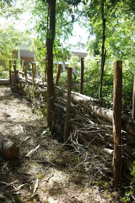 architecte urbaniste millancay