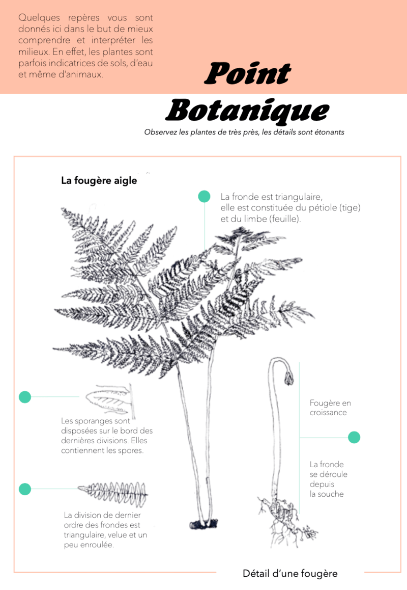 bureau d etude environnement la ferte saint aubin