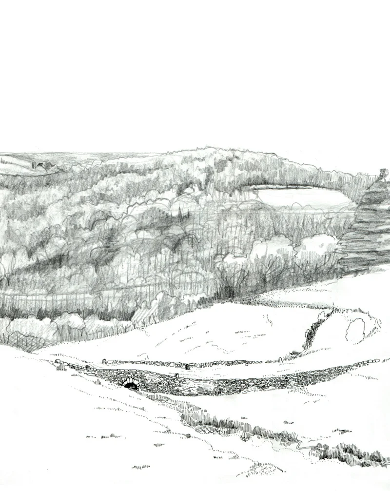 concepteur paysagiste lamotte beuvron